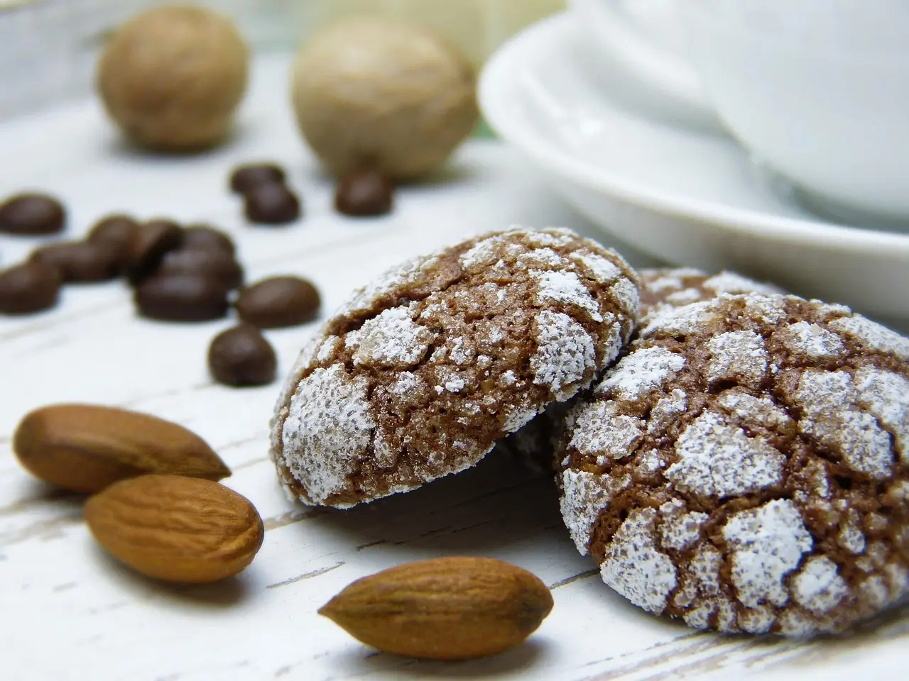 A plate of warm, spiced nutmeg cookies dusted with powdered sugar, perfect for the holiday season.